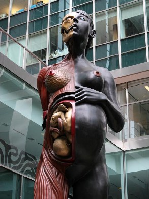 Damien  hirst – (its called Virgin Mother)