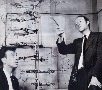 DNA scientists Watson and Crick